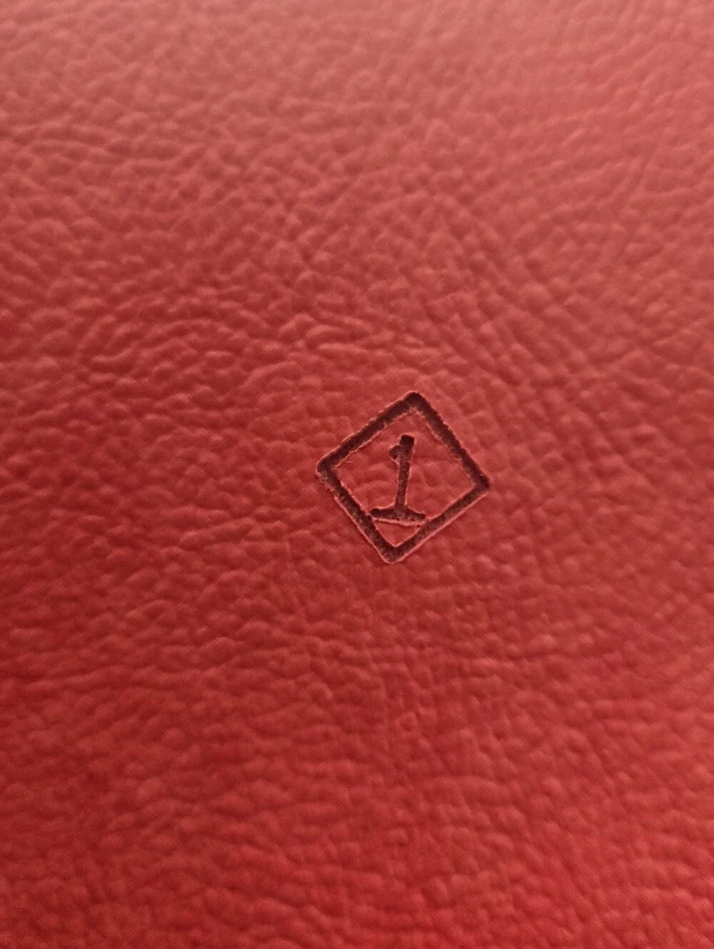 Samsonite stylish vintage